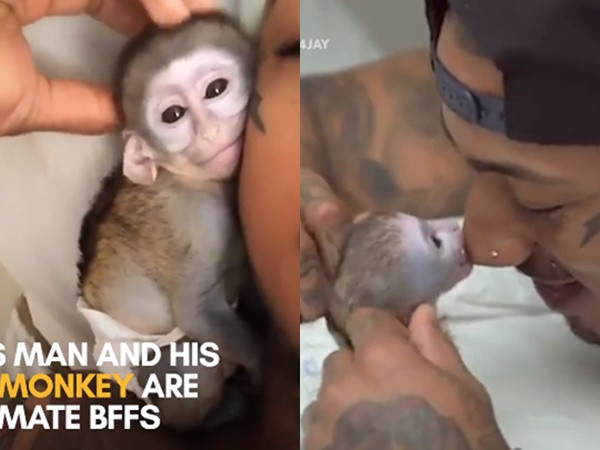 Ngất ngây với khoảng khắc khi soái ca giành hết trái tim cho thú cưng