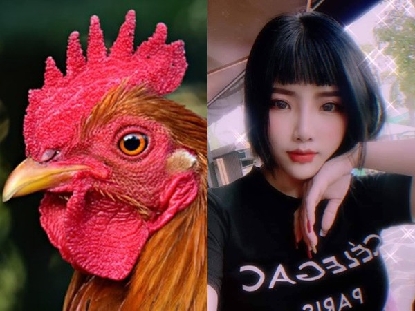 Môi mào gà đón Tết - hot trend kỳ lạ nhưng đi đâu cũng gặp trên mạng