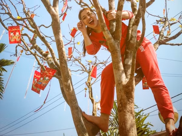 Về quê ăn tết, "Ngọc nữ bolero" Tố My tự trèo lên cây mai "khủng" 40 năm tuổi để trang trí