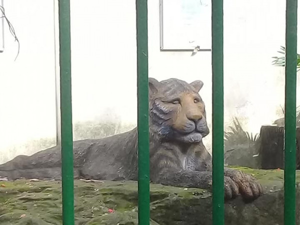 Con hổ bê tông với biểu cảm "khó đỡ" trong Thảo Cầm Viên bỗng "nổi như cồn"