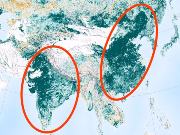 NASA: “Trái đất chưa hề xanh đến vậy suốt 20 năm qua”!