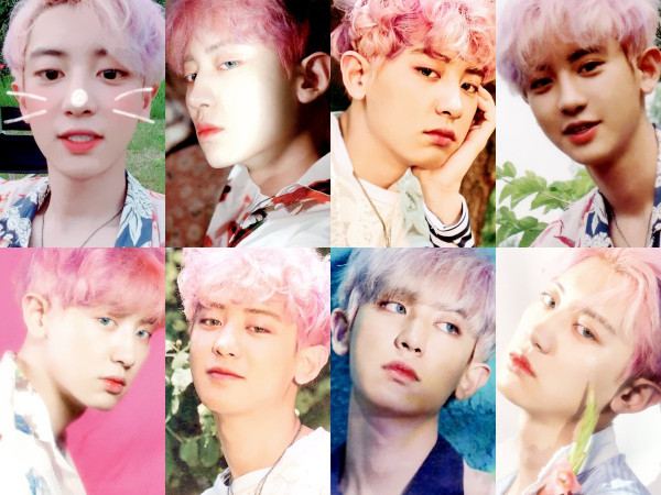 Đây là lý do vì sao các chàng trai EXO không bao giờ live-stream với các fan