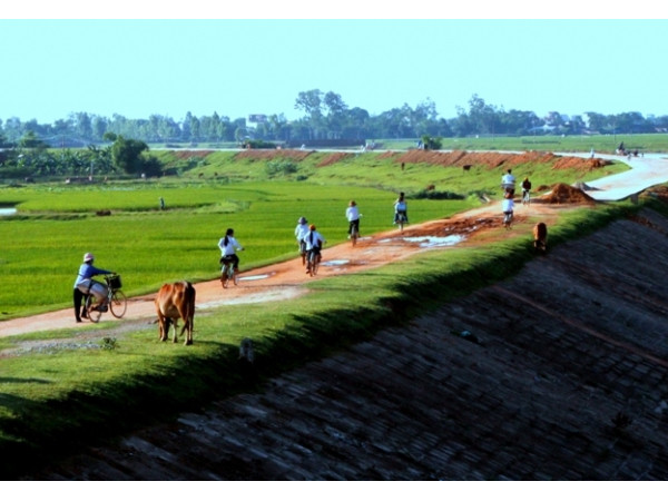 “Những mốc thời gian hạnh phúc”: Nhớ con đê làng