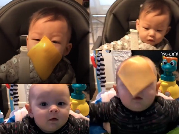 Chiêu thức mới của những bà mẹ: Ném phomai vào mặt!