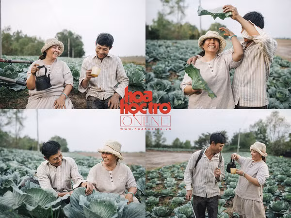 Hạnh phúc chỉ đơn giản giống như bộ ảnh "Ba và Mẹ" trên cánh đồng bắp cải thôi!