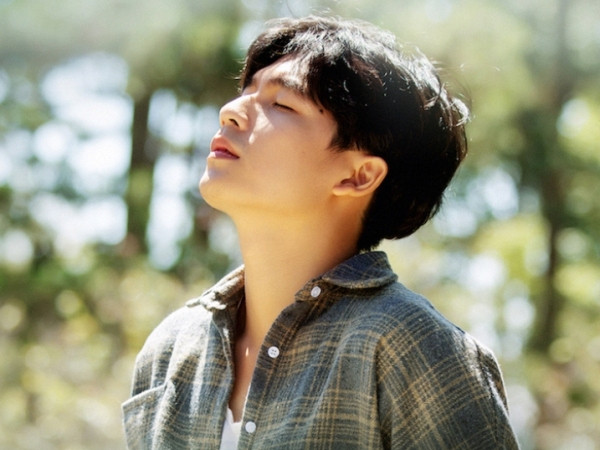 Quốc Anh đẹp trai mơ màng với rừng thông trong Poster chính thức của phim "Bí Mật Của Gió"