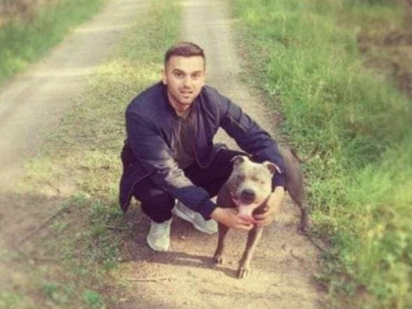 Chú chó pitbull “đáng sợ” đã khiến người hàng xóm thay đổi suy nghĩ như thế nào?