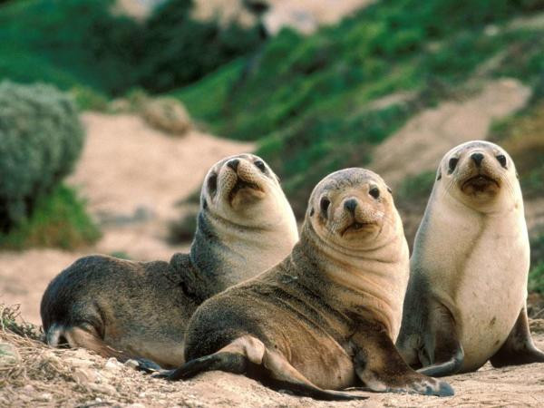 Xin nhớ cho rằng với Trái Đất này, chúng ta không phải là tất cả!