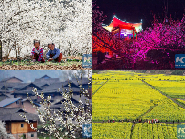 Mãn nhãn mùa hoa Xuân tuyệt đẹp ở Trung Quốc