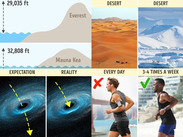 9 sự thật khiến nhiều người "ngã ngửa" vì hóa ra những gì được biết bấy lâu nay đều sai