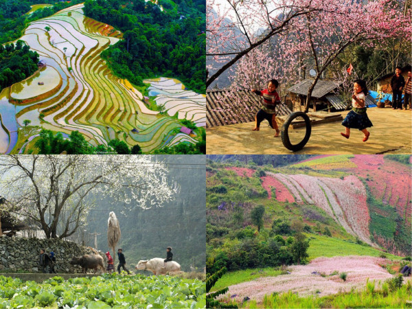 Hà Giang: Nơi bốn mùa bạn đều có thể ghé thăm!