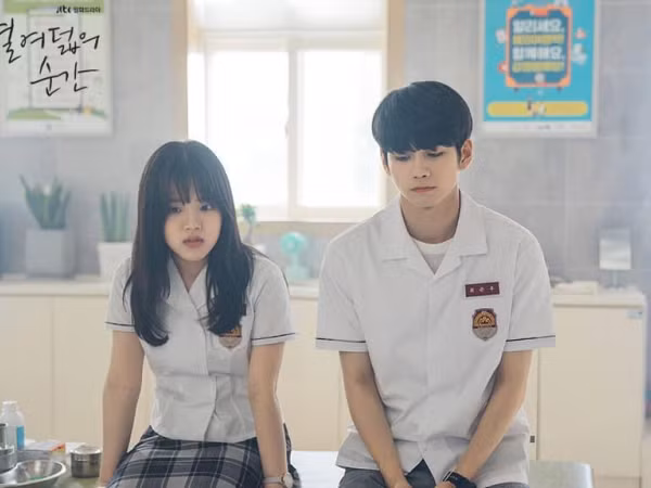 Chọn làm một chú mèo bất kỳ để đi tìm nam chính ngôn tình trong lòng bạn