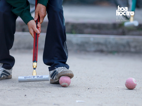 Hà Nội: Cụ ông, cụ bà hồi "teen" với môn thể thao quý tộc "bóng cửa" 