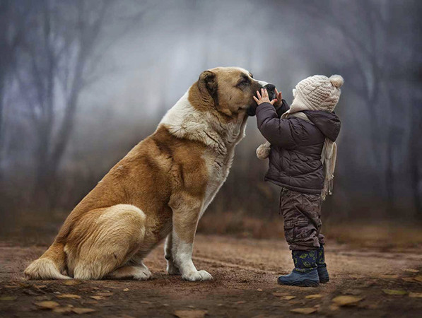 Loài chó có thể biết được cảm xúc của chủ nhân chỉ bằng… mũi!