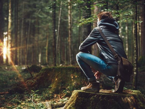 "Rừng rậm" ở tuổi dậy thì: Quy hoạch, phát quang hay nuôi trồng?