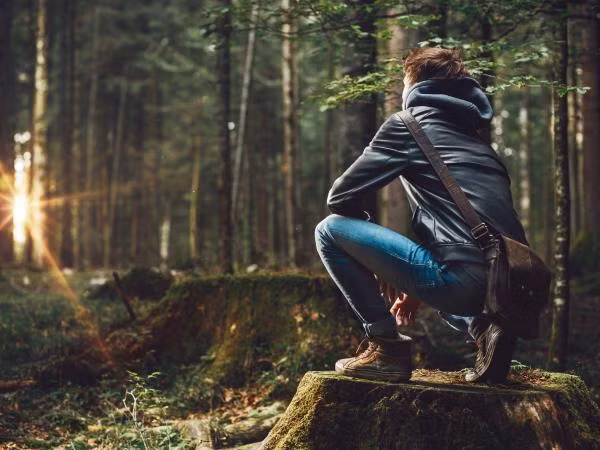 "Rừng rậm" ở tuổi dậy thì: Quy hoạch, phát quang hay nuôi trồng?