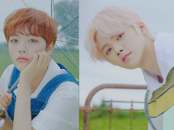 Các cựu thành viên Kang Minhee và Song Hyeongjun của X1 sắp debut lần thứ hai 