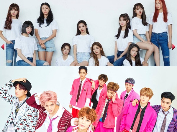 NCTzen tố nhóm nhạc sắp debut Cherry Bullet sao chép hình ảnh của NCT 127