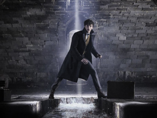 Càng biết nhiều về Fantastic Beasts 2, hội mê phim kỳ ảo càng sốt ruột chờ không nổi