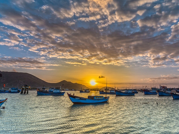 Có một Ninh Chữ sức sống ngập tràn dưới những hàng dương