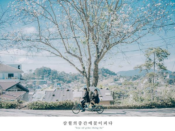 Một thoáng Tây Bắc đẹp đến ngỡ ngàng giữa lòng Đà Lạt