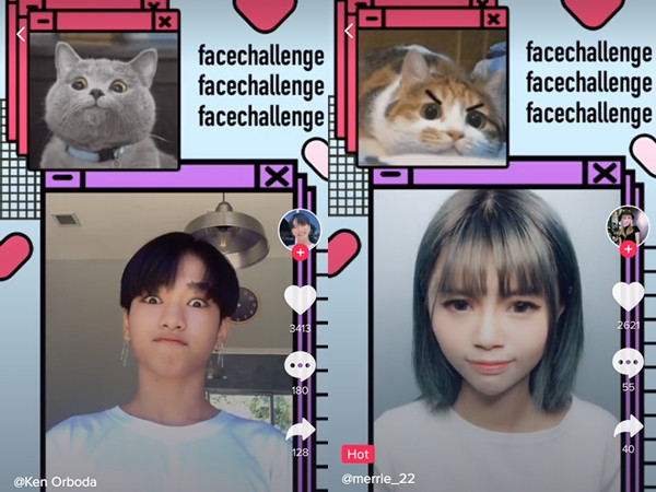 Trào lưu mới đang được teen yêu thích: Thử thách "cover" mặt thú cưng!