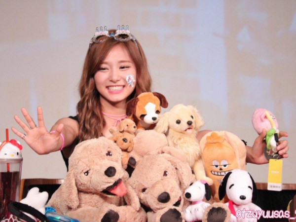 Hóa ra các chú chó mới là tình yêu lớn nhất đời của Tzuyu (TWICE)