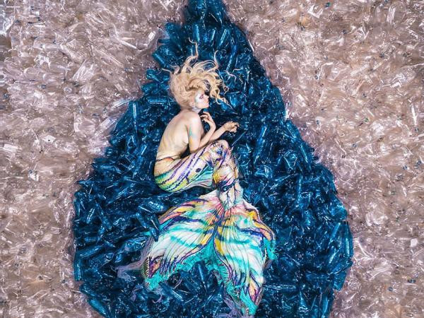 Không băng, không tuyết, chỉ toàn nilon - chuyện gì đang xảy ra vậy?