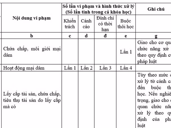 Sinh viên bán dâm 4 lần bị đuổi học: Quy định gì kỳ vậy?