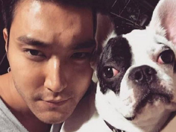 Gia đình của CEO quá cố đã tha thứ và quyết định không khởi kiện gia đình Choi Siwon
