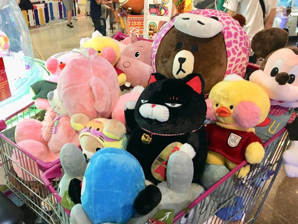 Không trượt phát nào: Cô nàng gắp được hẳn 800 con thú bông, mở luôn shop để bán lại