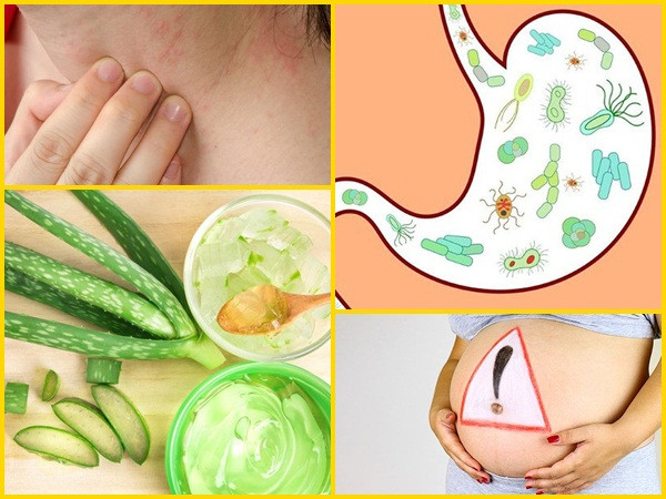 Tác dụng phụ của lô hội ít người biết