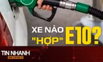 TIN NHANH: Xăng E10 sắp được bán trên cả nước, có ảnh hưởng động cơ xe không?