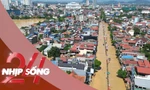NHỊP SỐNG 24: Vì sao lũ trên sông Cầu, sông Thương rút chậm, ngập lụt kéo dài?