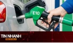 TIN NHANH: Hôm nay bán xăng E10 ở 3 thành phố: Tiết lộ chi tiết quyết định tuổi thọ động cơ xe