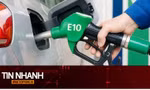 TIN NHANH: Hôm nay bán xăng E10 ở 3 thành phố: Tiết lộ chi tiết quyết định tuổi thọ động cơ xe