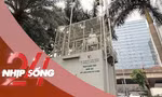 NHỊP SỐNG 24: Phó Cục trưởng Môi trường nói về việc chưa phát hiện sai phạm tại trạm quan trắc