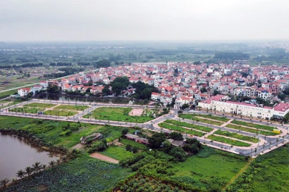 Nâng tiền đặt cọc lên 50%, đất đấu giá diễn biến ra sao?