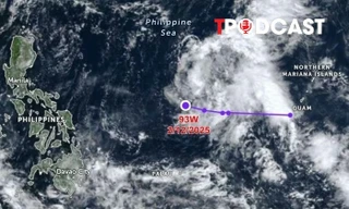 NÓNG 2/12: Thực hư thông tin cơn bão Chim Én sẽ vào Biển Đông thành bão số 16?