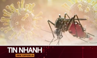 TIN NHANH: Bộ Y tế nói gì về nguy cơ dịch bệnh Chikungunya xâm nhập vào Việt Nam? 
