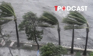 NÓNG 21/7: Chi tiết các cấp bão, mức độ tàn phá như thế nào?