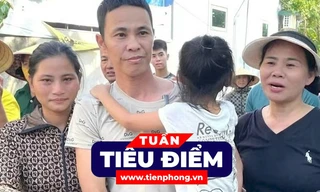TIÊU ĐIỂM: Lý do người nuôi gà lôi trắng được tại ngoại; Thả hàng triệu con muỗi để chống dịch chikungunya