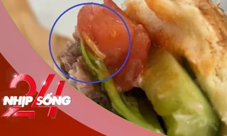 NHỊP SỐNG 24: Làm rõ vụ dòi lúc nhúc trong bánh hamburger