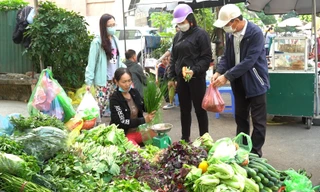 Lý giải nguyên nhân rau xanh Hà Nội tăng giá phi mã