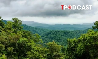 NÓNG 16/8: Du khách mất tích bí ẩn trong rừng ở Ninh Bình