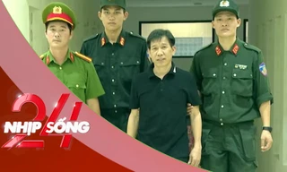 NHỊP SỐNG 24: Quân sư đằng sau trùm giang hồ Vi 'ngộ' là ai? Nhân viên y tế bị sa thải vì video vô cảm
