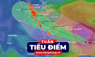TIÊU ĐIỂM: Diễn biến mới bão số 10; Mẹ giấu thi thể con gái trong tủ đông suốt hai thập kỉ 