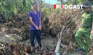 NÓNG 24/8: Vụ anh rể phá vườn cây của em vợ: Nạn nhân kháng cáo