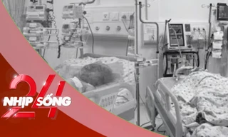 NHỊP SỐNG 24: Thông tin mới vụ cha tạt xăng đốt vợ và 2 con