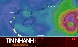 TIN NHANH: Bão Bualoi vừa tan đã xuất hiện 'mầm mống' bão số 11, miền Bắc lại sắp mưa lớn